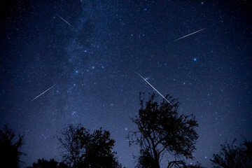 Milky Way stars and rural countryside tree silhouettes
