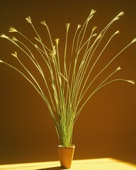 Fototapeta premium Vibrant green stalks with illuminated feathery tops emerging from a terracotta pot against a warm background