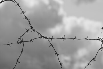 gray background, in the photo barbed wire against the gray sky