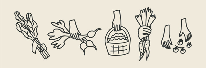 Farmers Hands Hold Harvest Vegetables and Greens. Doodle Vector Illustration