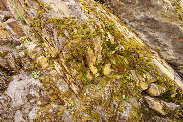 Moss on slate stones in the mountains