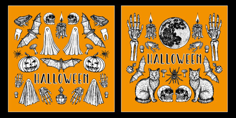 Halloween illustrations of skull, pumpkin, bat, candle, spider, ghost for card and poster designs. Sketch outline drawings in engraving style. Hand-drawn vector line art