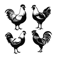 Rooster silhouettes set, chicken cock illustration, farm bird vector, poultry animal graphic, rural countryside design