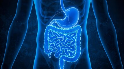 Glowing blue human digestive system anatomy illustration