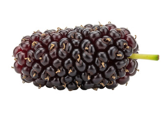 Close-up of a ripe mulberry fruit showcasing its deep purple color and textured surface against a clean background