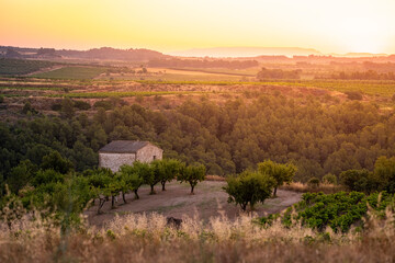 Agricultural fields during golden hour sunset in Terra Alta countryside near Horta de San Juan Tarragona Catalonia Spain Mediterranean farmland and cultural identity illuminated by light