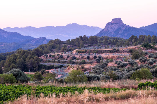 Elevated view of agricultural fields and vineyard rows with mountainous backdrop in Terra Alta countryside near Horta de San Juan Tarragona Catalonia Spain Mediterranean evening scenery