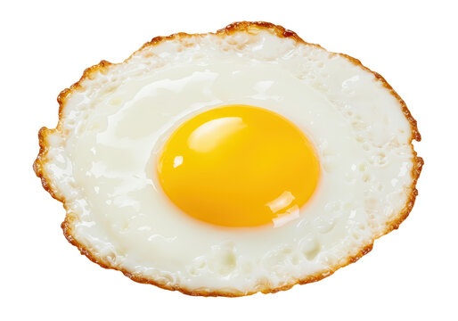 Isolated fried egg over easy, freshly cooked, breakfast classic with bright yolk, ready to eat