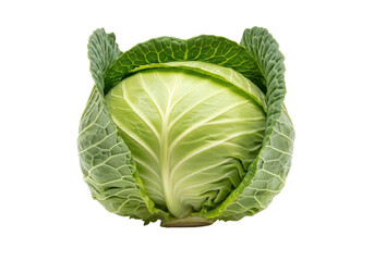 Fototapeta premium Fresh green cabbage with vibrant leaves, showcasing its natural texture, isolated on white background