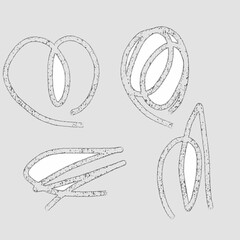 Abstract Doodle Elements