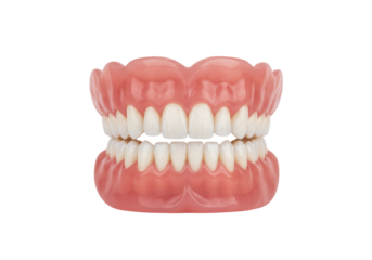 Isolated set of false teeth or dentures showing a full upper and lower set of teeth