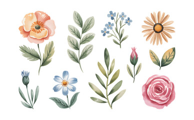 Artistic hand painted rose blossoms in soft watercolor brush tone with natural leaves.