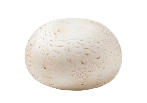 Fresh white mushroom on a clean surface, highlighting its texture and shape, ideal for culinary use