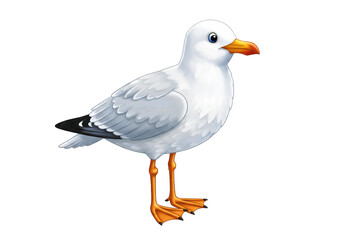 Isolated Seagull standing upright with an orange beak against a neutral backdrop, illustration