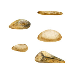 Natural smooth rocks pebbles mineral chips sandstone agate jasper. Single object illustration, watercolor hand drawn. Spa treatment, massage salon, zen meditation, semi-precious stone handmade jewelry