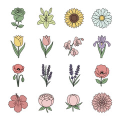 Collection of Colorful Flower Illustrations - Rose, Lily, Sunflower, Daisy, Tulip, Orchid, Iris, Poppy, Lavender, Hibiscus, Peony, Chrysanthemum.