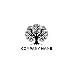 Silhouette of a Majestic Tree with Intricate Branches and Roots.