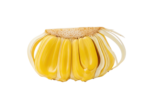 Unusual banana-like fruit with an exaggerated shape, isolated on white background for culinary use