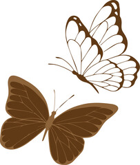 butterfly silhoute