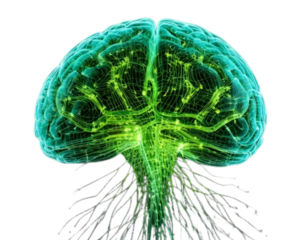  3D Render of Translucent Green Brain with Neural Connections, isolated on transparent background