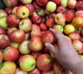 red ripe apples