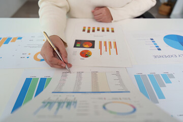 Data Analysis. Professional reviewing financial reports and charts for monthly expense evaluation.