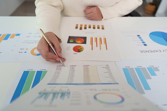 Data Analysis. Professional reviewing financial reports and charts for monthly expense evaluation.