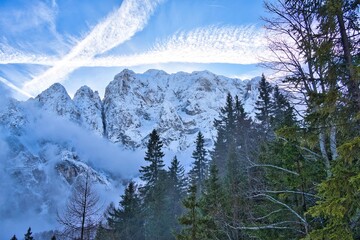 snow covered mountains