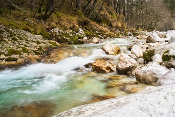 mountain river in the forest