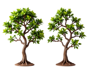 Lush Green Trees with Detailed Leaves and Twisted Branches Design