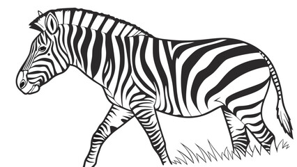 Obraz premium Striped Equine Animal Walking in Grass Black and White Illustration for Coloring Book Pattern or Design.