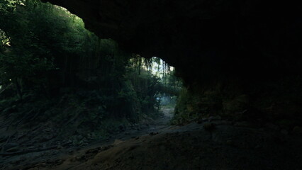 A dark tunnel with trees on both sides