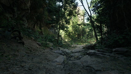 A dirt road stretches through a rocky forest, showcasing the untouched beauty of nature.