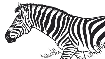 Zebra head profile black and white illustration equine animal wild animal African animal nature wildlife stripes pattern monochrome graphic design vector illustration zoology mammal.