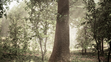 Fototapeta premium A Majestic Oak Standing Tall Amidst the Enchanting Woodlands of the British Hunting Grounds