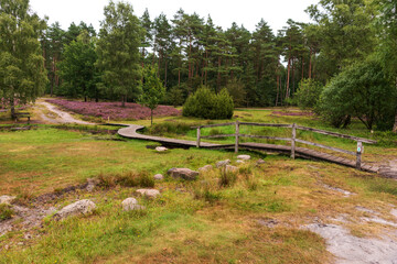 Holzsteg in der L&uuml;neburger Heide, B&uuml;senbachtal