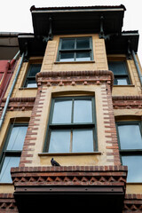 Vintage building with intricate brickwork, highlighting urban architecture and historical design, with a pigeon on the ledge. Vertical photo, ideal for architecture, history and urban life