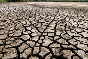 Dry, cracked earth surface, illustrating severe drought effects on the environment, with visible...