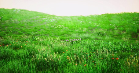 Obraz premium A vibrant green meadow is adorned with various wildflowers, sparkling under the bright sun in spring. The tranquil landscape invites exploration and relaxation in nature.