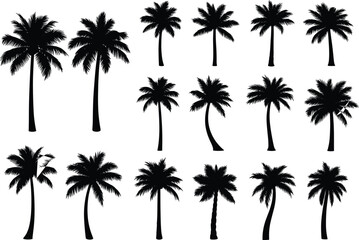 Fototapeta premium Palm tree silhouettes, tropical botanical icons, black and white design, exotic landscape elements, nature illustration, coastal flora shapes, island vibe art