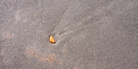 Beach Sand Abstract Background Design