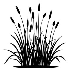 Tall Meadow Grass Silhouette