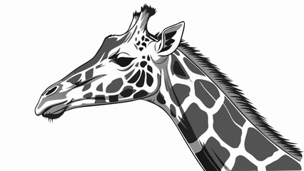 Naklejka premium Giraffe Head Monochrome Illustration Wildlife Art Animal Portrait African Animal Grayscale Vector Illustration Nature Design Wild Animal Long Neck Spotted Pattern Safari Theme Zoo Ani.