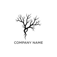 Obraz premium Silhouette of a Bare Tree with Intricate Branches and a Twisted Trunk.