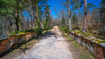Gardens and Forest of the Royal Palace of La Granja de San Ildefonso, Spanish Cultural Heritage, Real Sitio de San Ildefonso, Segovia, Castilla y León, Spain, Europe