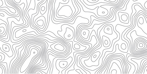 Fototapeta premium Abstract seamless vector pattern with lines and floral ornaments in a vintage textile style