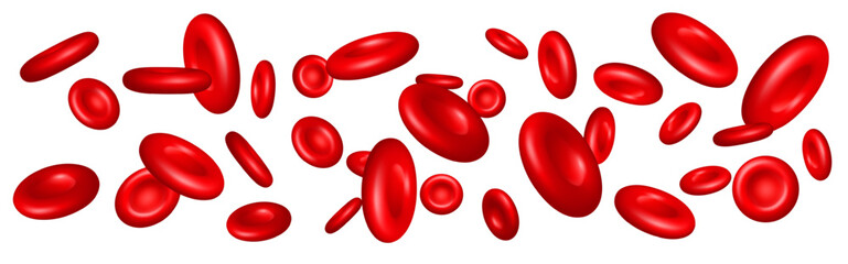 Realistic red blood cells flow through vein. 3D erythrocyte molecules. Hemoglobin microscopic particles. Bloody plasma. Circulatory system corpuscles vector stream on white background