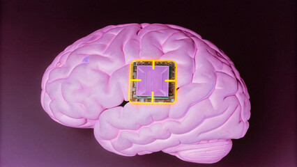 An abstract 3D illustration of a human brain with a pink cerebellum isolated on a black  background