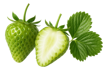 Cherry and almond tart with a lattice crust, showcasing glistening cherries in the filling
