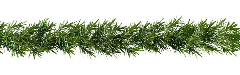 Christmas tree branches on white
